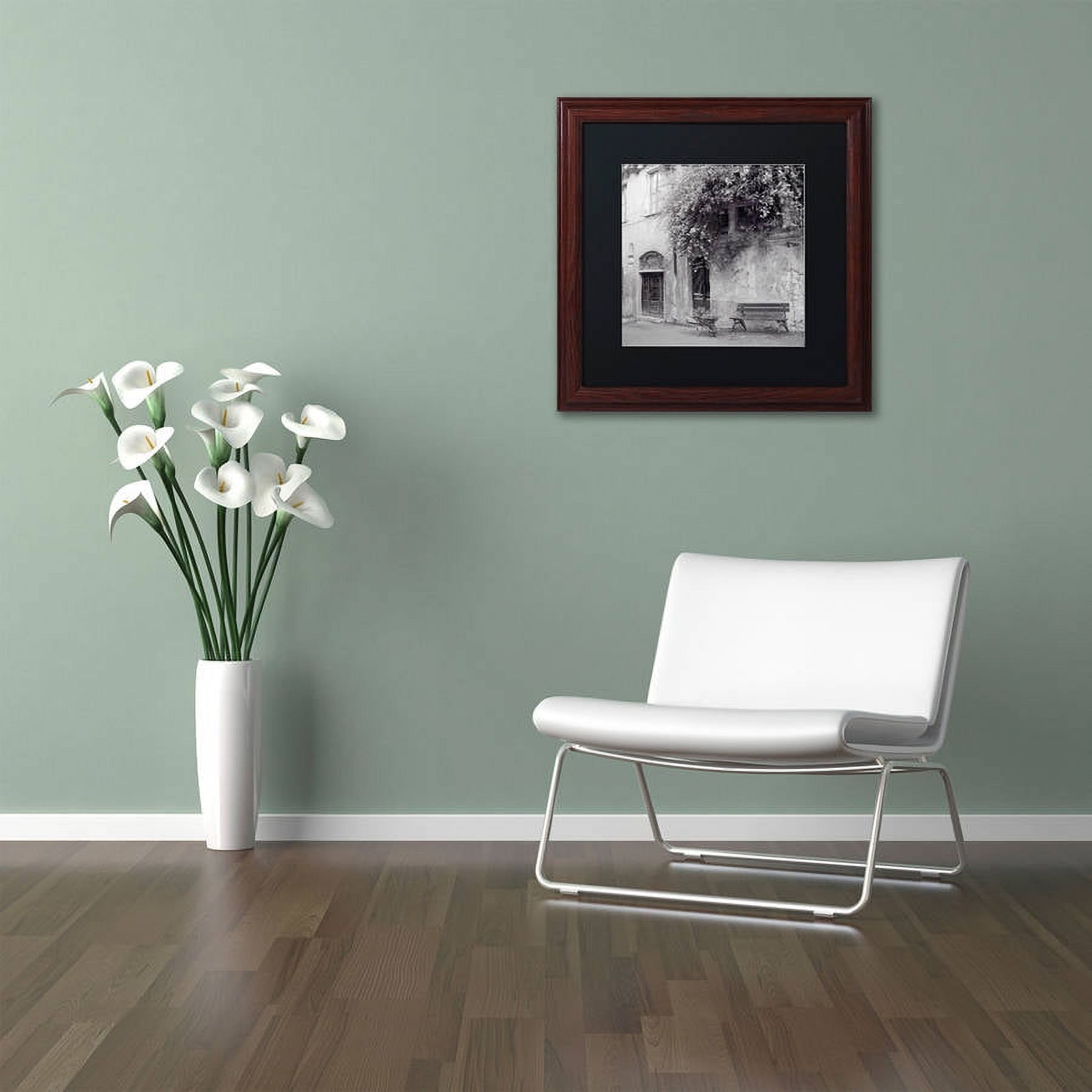 Trademark Fine Art "Liguria I" Canvas Art by Alan Blaustein, Black Matte, Wood Frame