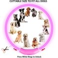 thumbnail image 3 of NOVKIN 2-Pack LED Dog Collar , Light Up Dog Collars,Rechargeable Dog Lights for Night WalkingUniversal, Reusable Safety Necklace for Small Medium Larg, 3 of 4