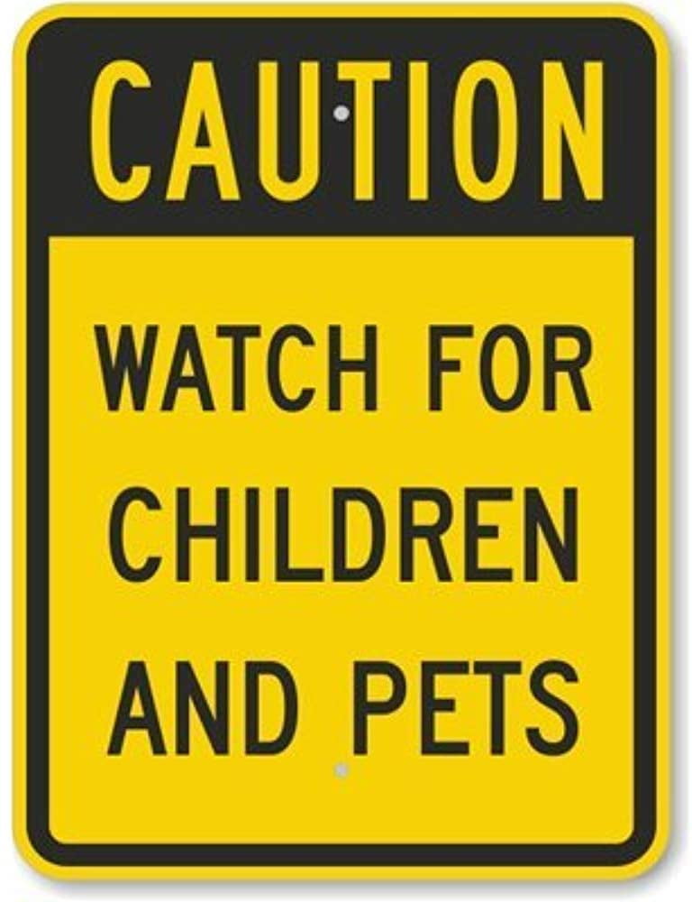 Warning sign Slow Autistic Child at Play with Road sign Business Sign