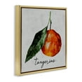 thumbnail image 4 of Stupell Industries Vintage Tangerine Fruit Food & Beverage Painting Gold Floater Framed Canvas Art Print Wall Art, 18 x 18, 4 of 10