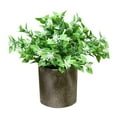 thumbnail image 1 of Bonsaï simulation Pulpe Fleurs Fausses Jasmin pour Plantes Vertes de Bureau, 1 of 15