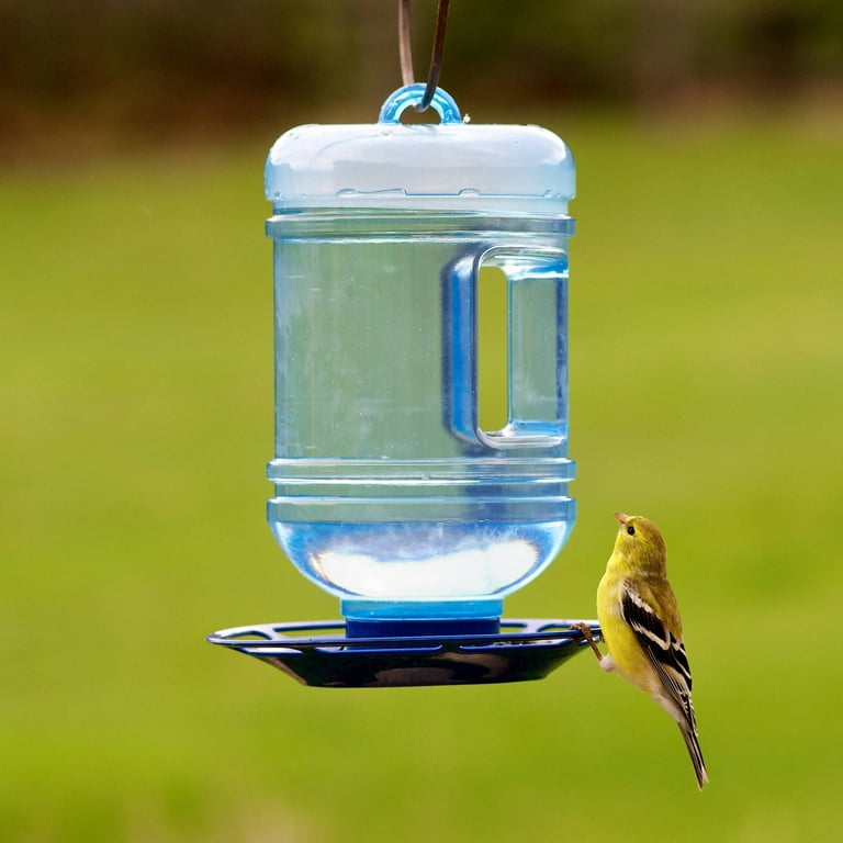 Perky-Pet 48 oz Water Cooler Bird Waterer