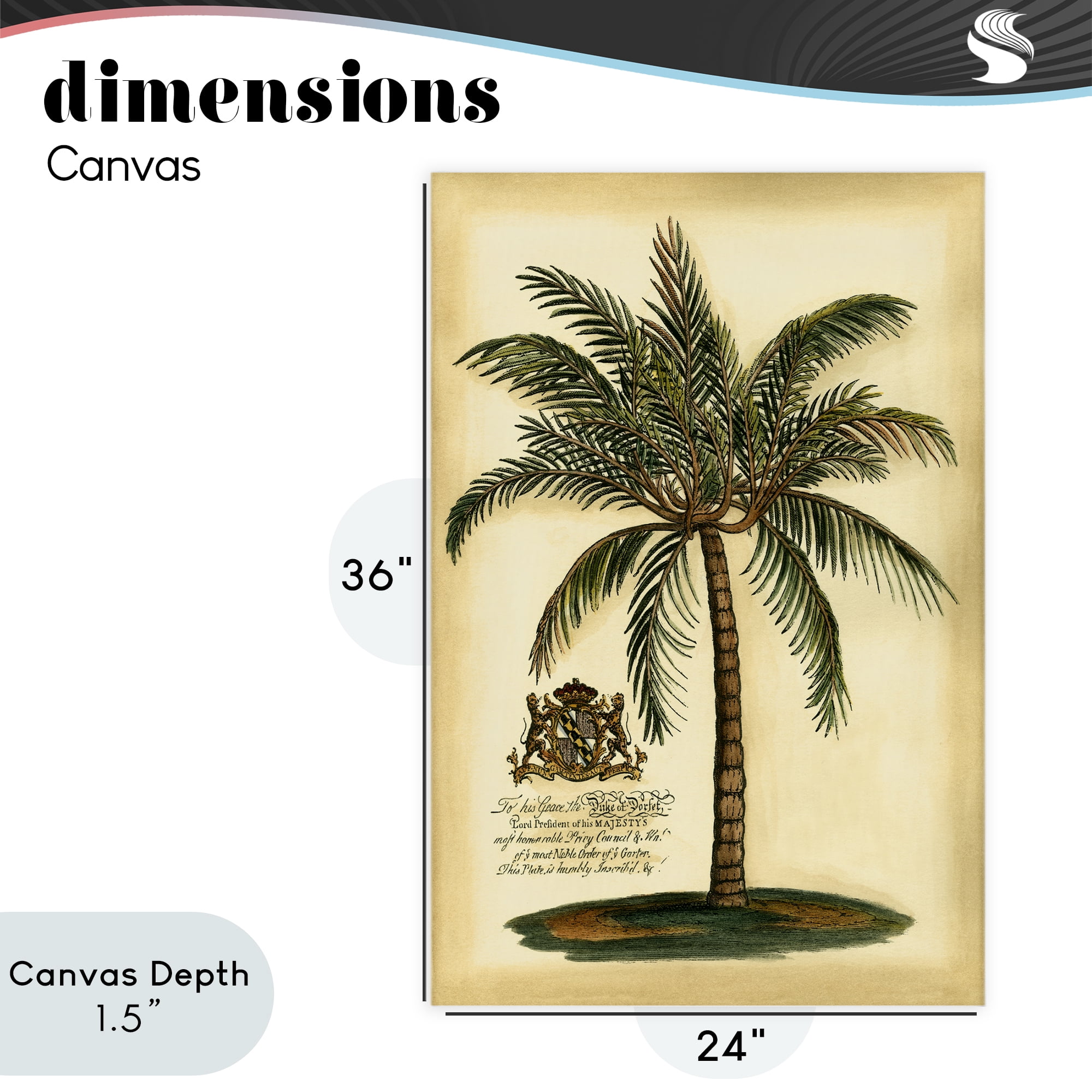 Stupell Industries British Colonial Palm Canvas Wall Art, design by Vision Studio