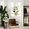 thumbnail image 4 of Plant Signs of Nutrient Deficiency Education Poster Botany Classroom Decor (4) Canvas Painting for Living Room Bedroom Decor, 4 of 4