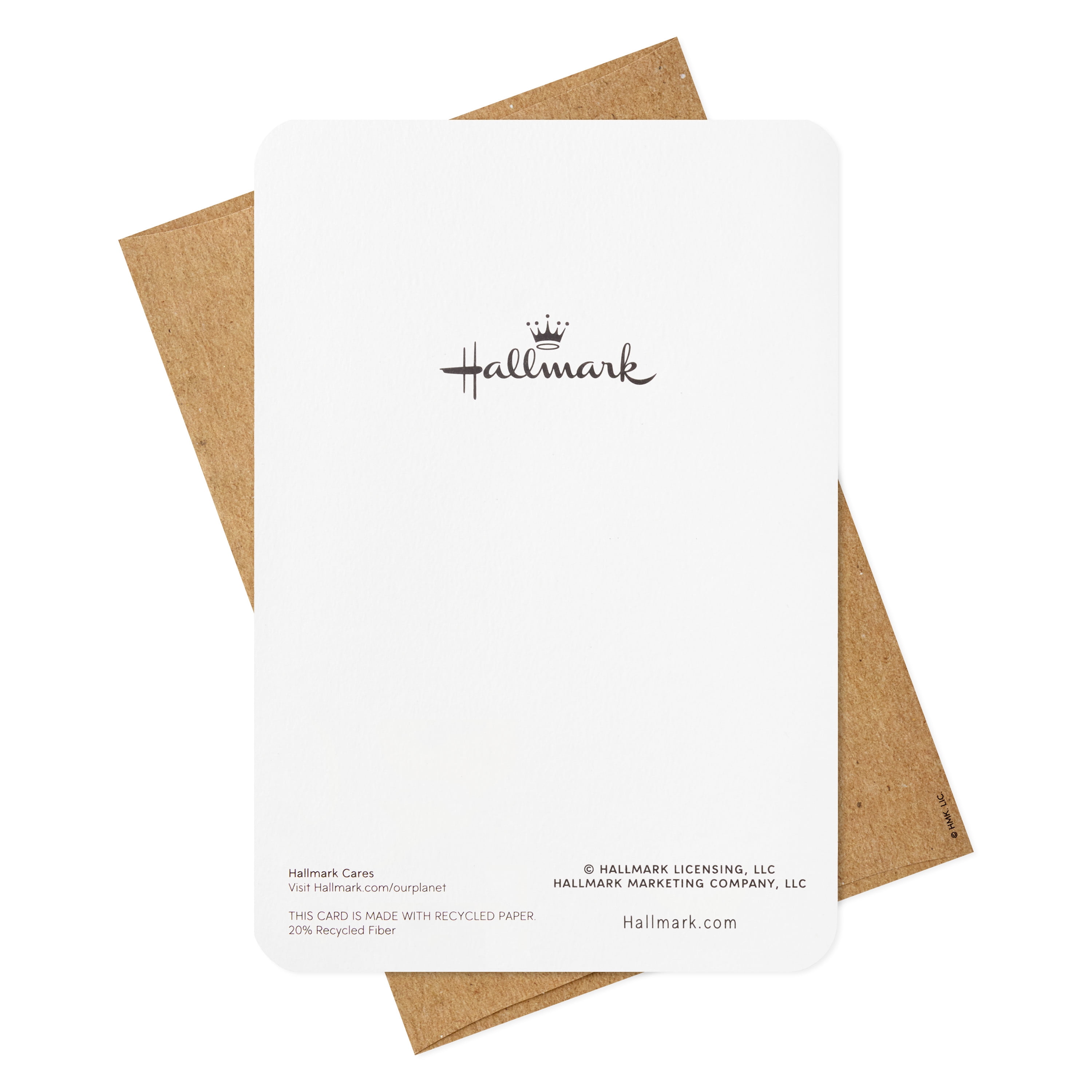 Hallmark Boxed Holiday Greeting Cards, Holiday Wishes (16 Cards and 17 Envelopes)