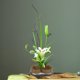 thumbnail image 3 of Herramienta de arreglo floral Kenzan con alfiler de aguja fijo con forma de sol y luna, 3 of 10