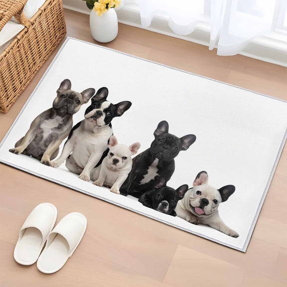 Dogs Entryway Rug 2'x3'  Non Slip Front Door Mats, Modern Art Lovely Animals Farmhouse Entrance Rugs Indoor Outdoor Carpet, Washable Floor Mats Small Area Rug for Bedroom Kitchen