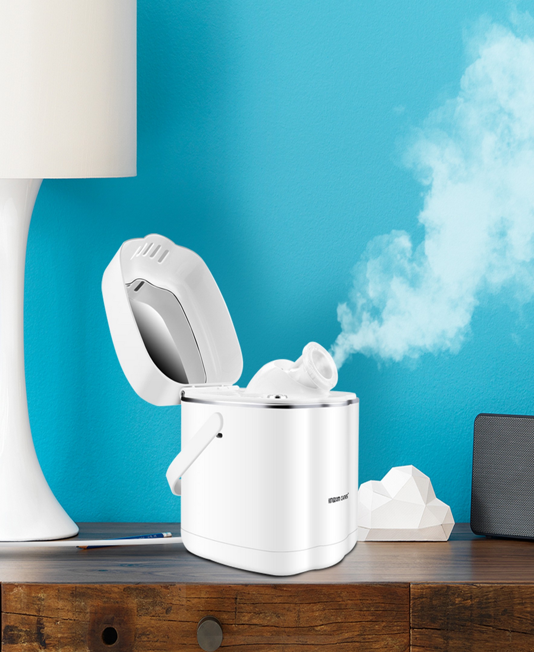 Hot Mist Nano Facial Steamer