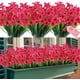 thumbnail image 1 of 20 paquetes de flores artificiales para exteriores, resistentes a los rayos UV, flores falsas que no se destiñen, arbustos verdes de plástico sintético, decoración de caja de ventana para porche y jardín Zhivalor CZJJ-HQ3-1, 1 of 7