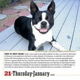 365 Dogs PageADay Calendar 2021
