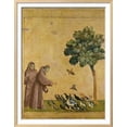 thumbnail image 2 of St. Francis of Assisi Preaching to the Birds, Animals Religion Framed Art Print Wall Art by Giotto di Bondone Sold by Art.Com, 2 of 6