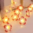 thumbnail image 1 of HOARBOEG LED Frangipani Colored Lights String Holiday Decoration Room Layout Small Fresh Girl Heart Decorative Lights, 1 of 6