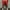 Red, variant on Turilly Men's Summer Shorts Elastic Waist Khaki ShortsEuropean And American Running Breathable Shorts Loose Hot Selling New Style L