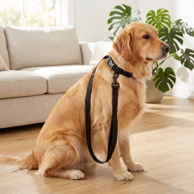 Vibrant Life 6-Foot Adjustable Hands-Free Dog Leash, Black photo 3