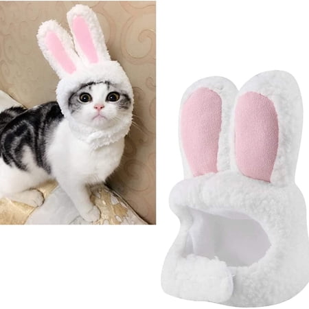 Costume Per Cane Holy Hound Pet Fancy Dress: Vesti Il Tuo Amico A Quattro Zampe Con Stile E Divertimento!