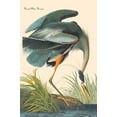 thumbnail image 2 of Art.com Great Blue Heron Art Print by John James Audubon, 12" x 18", 2 of 4