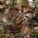 thumbnail image 5 of Adornos de árbol de Navidad con forma de libro, colgante de estantería con forma de letra, adorno de bibliotecario para amantes de los libros, adorno de acrílico para Navidad, regalo para amantes de l, 5 of 7