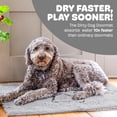 thumbnail image 2 of DGS Pet Products Dirty Dog Doormat Runner Silver Grey 60" x 30" x 2", 2 of 6