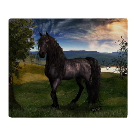 CafePress - Freisian Horse - Soft Fleece Throw Blanket, 50 ...