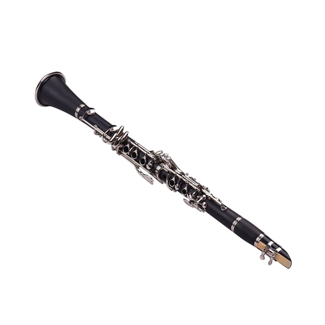 Eccomum ABS 17-Key Clarinet Bb Flat with Carry Case Gloves Cleaning Cloth Mini Screwdriver Reed Case 10pcs Reeds Woodwind Instrument