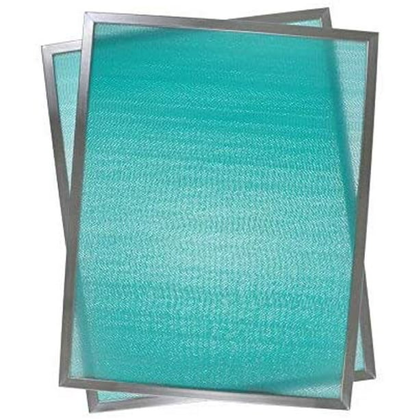 Honeywell 50000293002 Post Filter (Pack of 2)