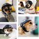 thumbnail image 5 of Casco de moto de 2 piezas para perros, casco de moto para mascotas, casco para mascotas, casco ajustable para perros, casco para perros, para perros pequeños y gatos., 5 of 5
