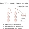 thumbnail image 6 of Solid 925 Sterling Silver Love Heart Drop Earrings for Women Teens Sweet Heart Dangle Earrings Hook Earrings, 6 of 15
