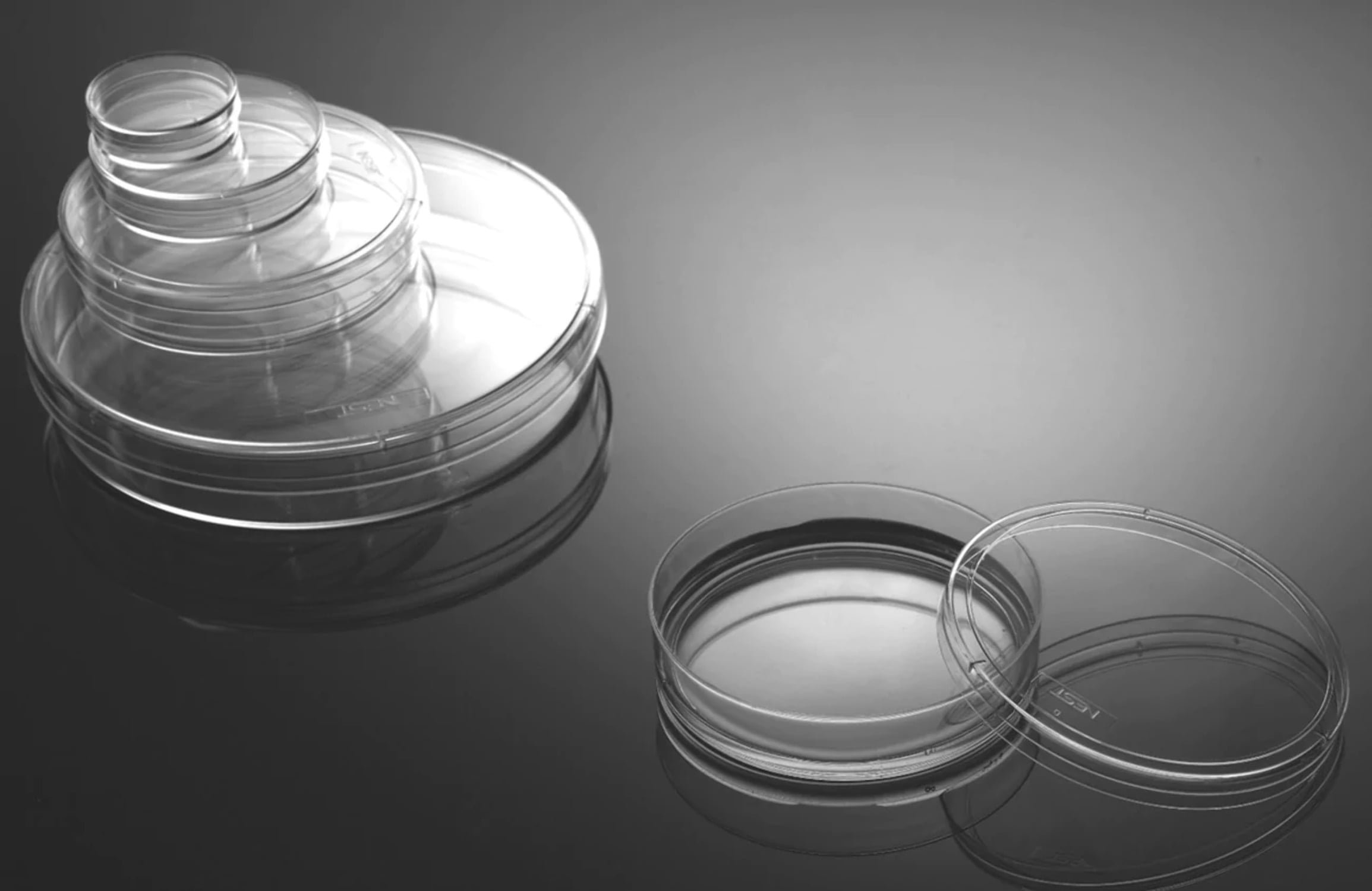 NEST Cell Culture Dishes