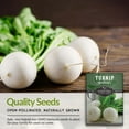 thumbnail image 6 of 2 Packs Snowball Turnip Seeds - Non-GMO Heirloom Full Sun Biennial Vegetable, 6 of 7