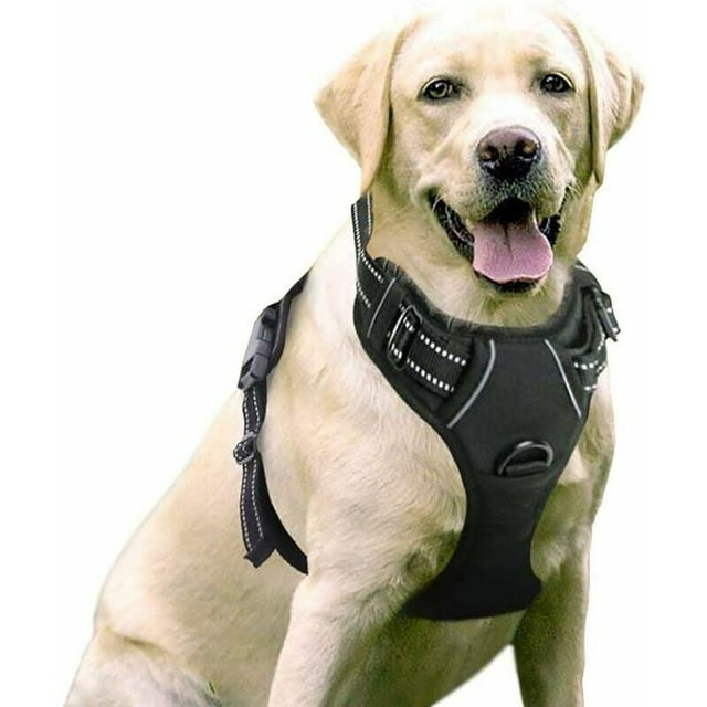 Noir M Harnais Chien Anti Traction, Arnet pour Chien Facile à Mettre Harnais Réfléchissant Réglable avec Attache Devant Harnais pour Chien Moyen
