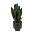thumbnail image 2 of Anko Faux Snake Plant in Pot, 2 of 5