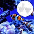 thumbnail image 4 of 2 comederos cónicos de acrílico para peces, ideales para acuarios., 4 of 7