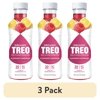 (3 pack) Treo Raspberry Lemonade Flavored-Infused Bottled Birch Water, 16 oz
