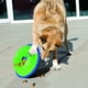 thumbnail image 2 of Plato Dosificador Grande Estimulación Verde Perro Kong KONG PTZ1, 2 of 3