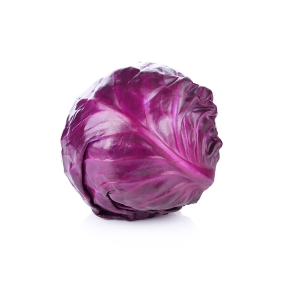 Sherwood's Seeds 30 Red Acre Cabbage Plant Seeds