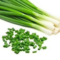 3500  Long Green Scallion Seeds for Planting, Bunching Long Green Onion Seeds, Non-GMO Organic Heirloom Scallion Seeds