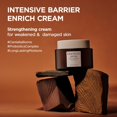 thumbnail image 2 of SKIN1004 2 PACK Probio Cica Crema Enriquecida 1.69 fl.oz, 50ml, Hidratante Facial Coreano, Crema Nocturna para el Rostro con Centella de Madagascar, Hidratante para Calmar y Fortalecer la Piel, 2 of 3