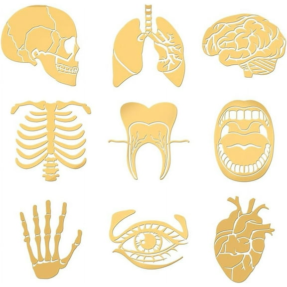 9pcs 1.6x1.6 inch Human Body Pattern Stickers Self Adhesive Metal Stickers Skeleton Heart Stickers Golden Epoxy Stickers for DIY Scrapbooks Epoxy Resin Art Crafts Water Bottle Decor