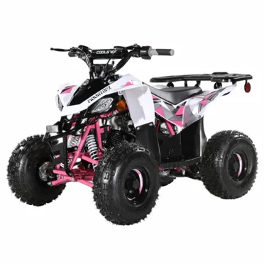 Coolster 110cc ATV Fully Automatic Mini C1110B6