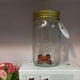 thumbnail image 3 of Butterfly Collection Jar Lamp Flying Butterfly with LED Lights for Family and Friends Gift, 3 of 5