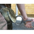 thumbnail image 4 of The Essential Hoof Book: The Complete Modern Guide to Horse Feet - Anatomy, Care and Health, Disease Diagnosis and Treatment (Hardcover), 4 of 5