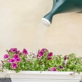 thumbnail image 2 of Root & Vessel 2-Gallon Classic Watering Can, Hunter Green, 2 of 6