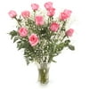 Elegant Pink Long Stemmed Roses