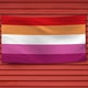 thumbnail image 3 of Banderas de la paz de 60x90 cm pancarta del Orgullo Gay LGBTQ + colorida para desfiles de fiesta carnavales, 3 of 6