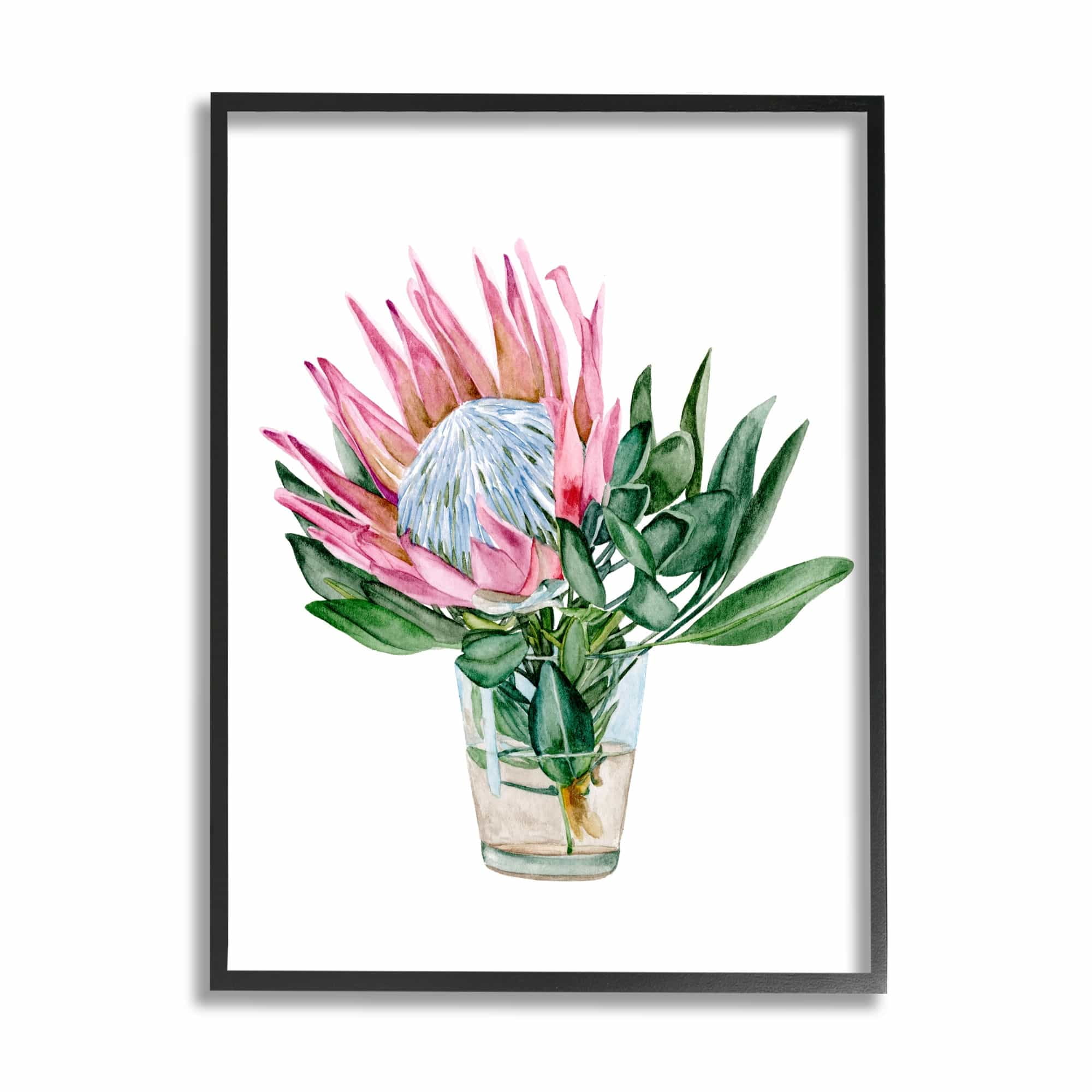 Stupell Industries Blushing Protea Flower Glass Watercolor Flower Still Life, 11 x 14, Design by Melissa Wang
