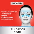 thumbnail image 6 of Sudafed Sinus Severe No Drip with Cooling Menthol Nasal Spray, 1 fl. oz, 6 of 9
