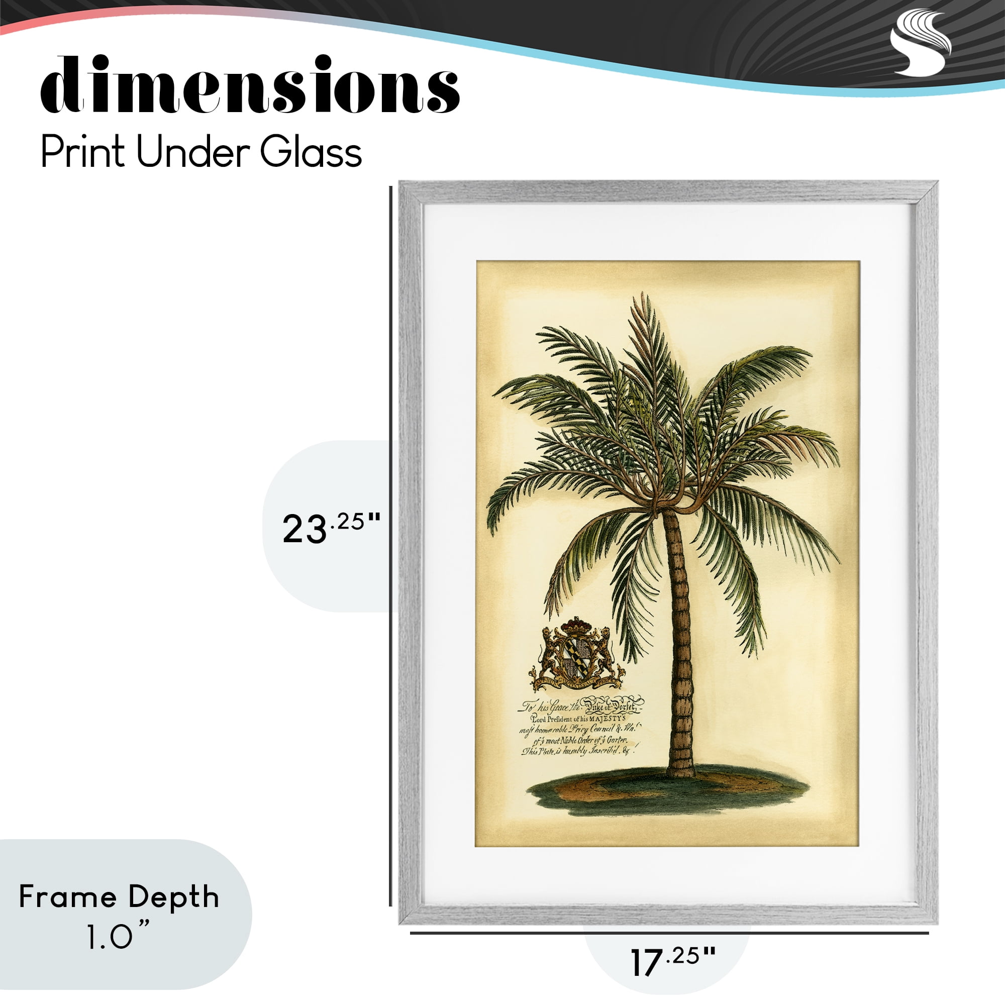 Stupell Industries British Colonial Palm Gray Framed Print Under Glass, design by Vision Studio