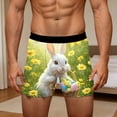 thumbnail image 4 of XIAONU Men's Easter Bunny Print Boxer Briefs Slim Fit Mid Length Elastic Waistband Soft Stretchy Underwear, 4 of 6