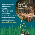 thumbnail image 3 of Sunday Mosquito Deleto 5,000 Sq. ft. Plant-Based Bug Control Spray & Repellent 32 fl oz., 3 of 5
