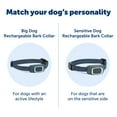 thumbnail image 6 of PetSafe Lite Rechargeable Bark Collar for Timid or Little Dogs over 8 lb, 6 of 7